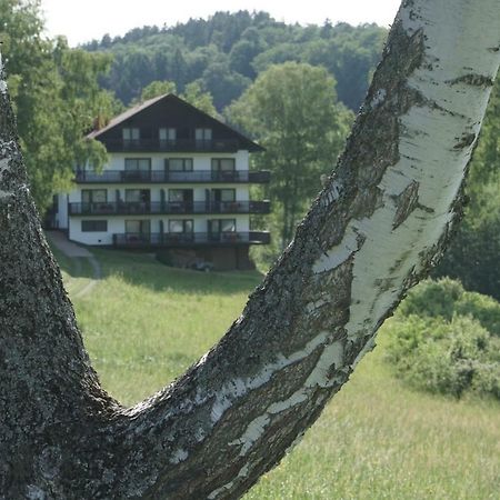 Birkenhof Hotel Wald-Michelbach Luaran gambar
