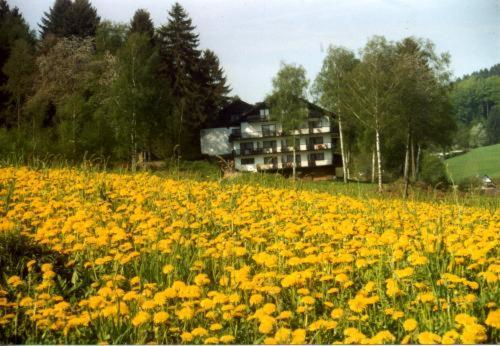 Birkenhof Hotel Wald-Michelbach Luaran gambar