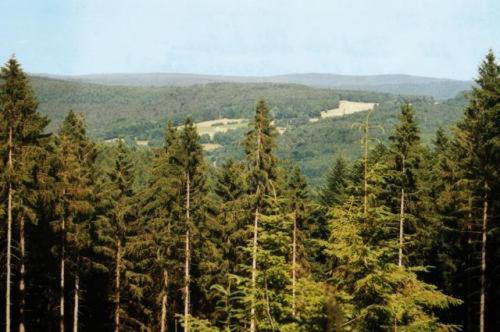 Birkenhof Hotel Wald-Michelbach Luaran gambar