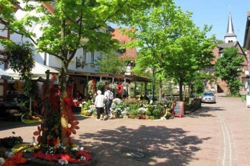 Birkenhof Hotel Wald-Michelbach Luaran gambar