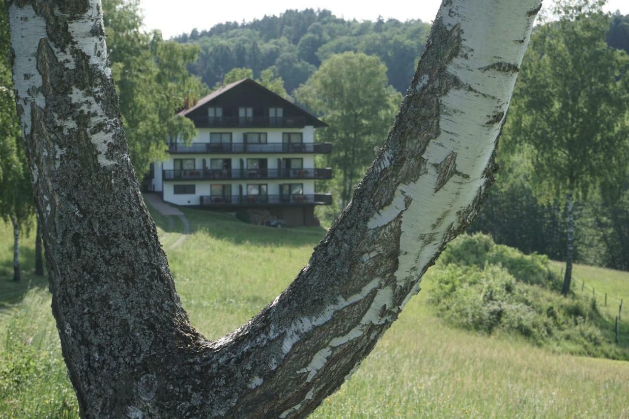 Birkenhof Hotel Wald-Michelbach Luaran gambar