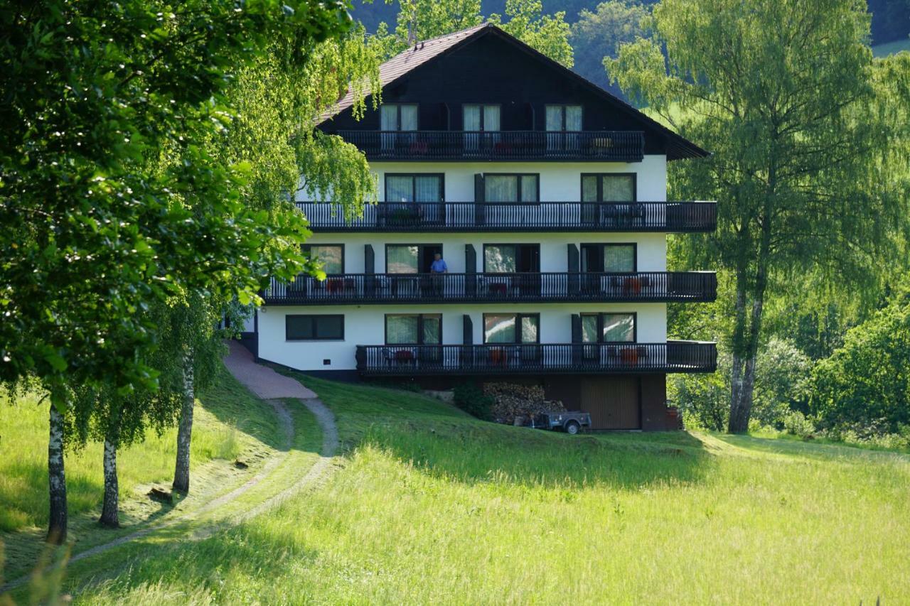Birkenhof Hotel Wald-Michelbach Luaran gambar